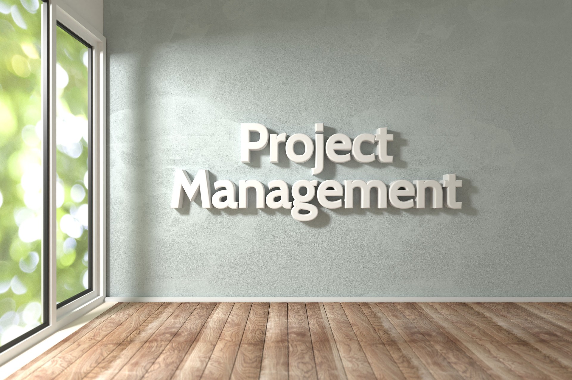 Project Management